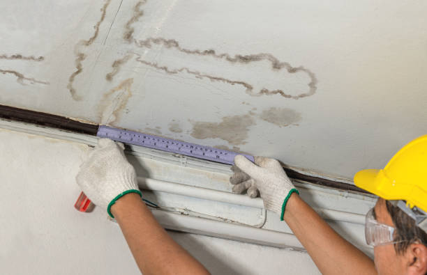 Reliable Basement Water Removal contractor in Bangor, ME by Water Damage Irwin